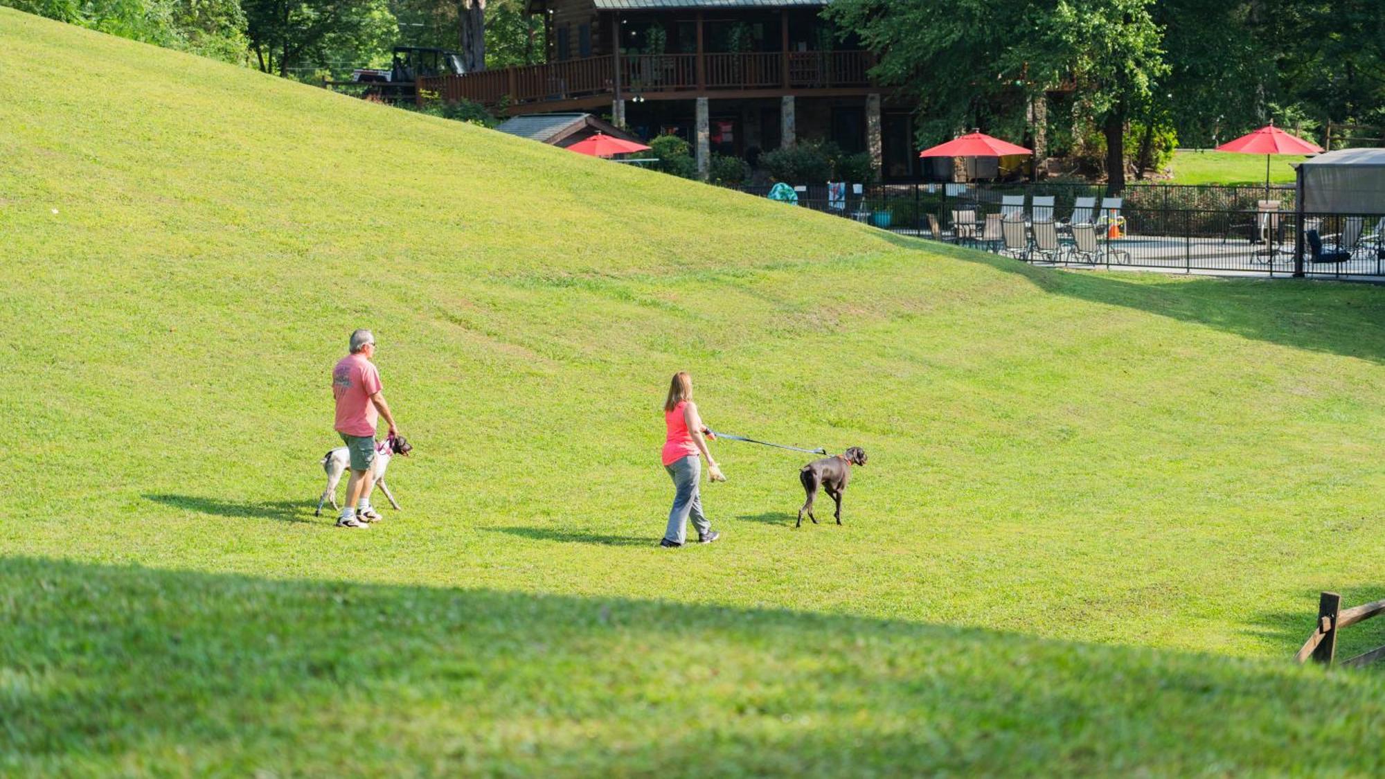 Yoli Bear Hideaway Villa Sevierville Ngoại thất bức ảnh